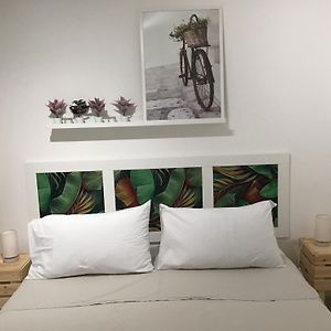 Camera standard con letto king size